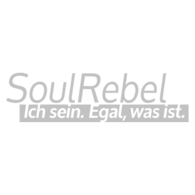 Soulrebel Coaching Berlin