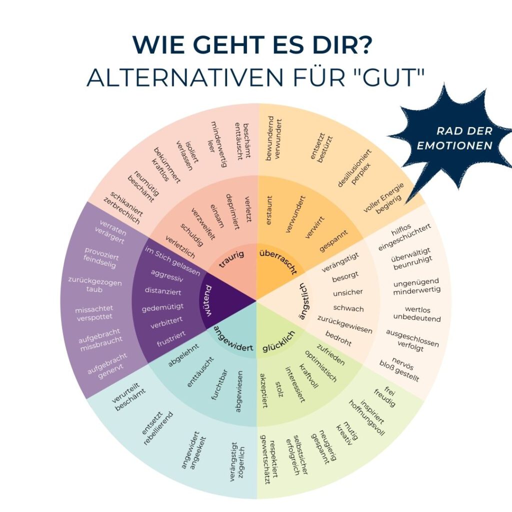 Rad der Emotionen New Work Wheel of Emotions Alexandra Schneller Karriere Coaching Consulting Projekt Management