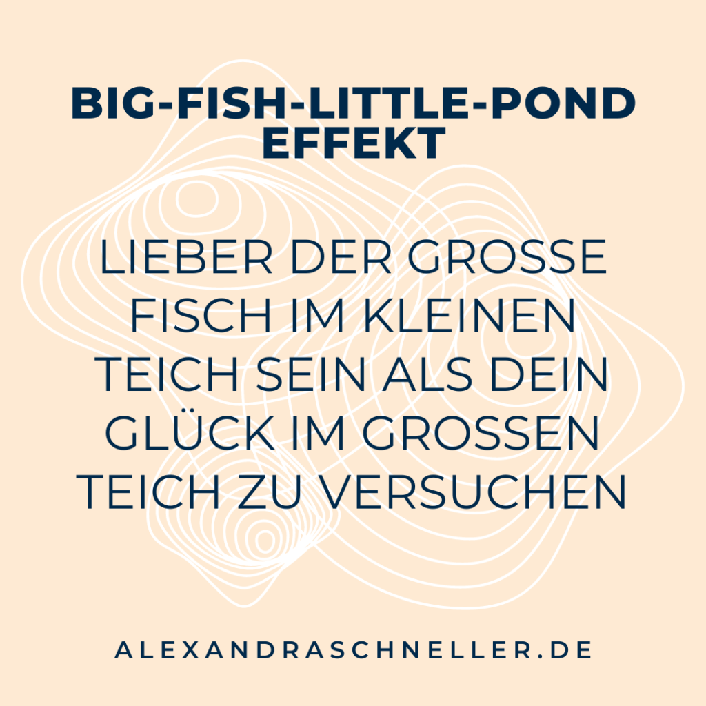 Big Fish Little Pond Effekt Imposter Syndrom Alexandra Schneller Business Coaching Karriere Coaching