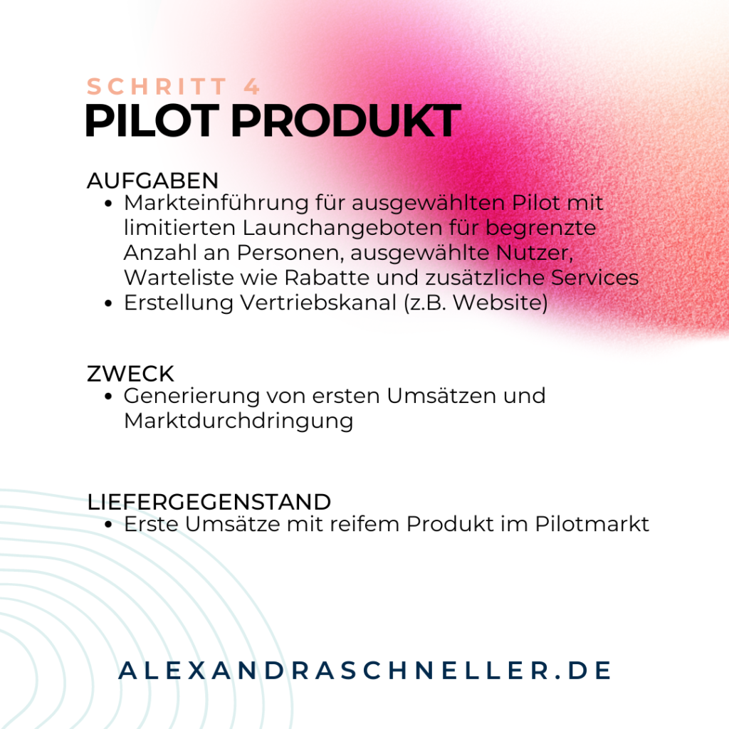Pilot Projekt Projekt Management Alexandra Schneller Business Coaching Karriere Coaching Unternehmensberatung