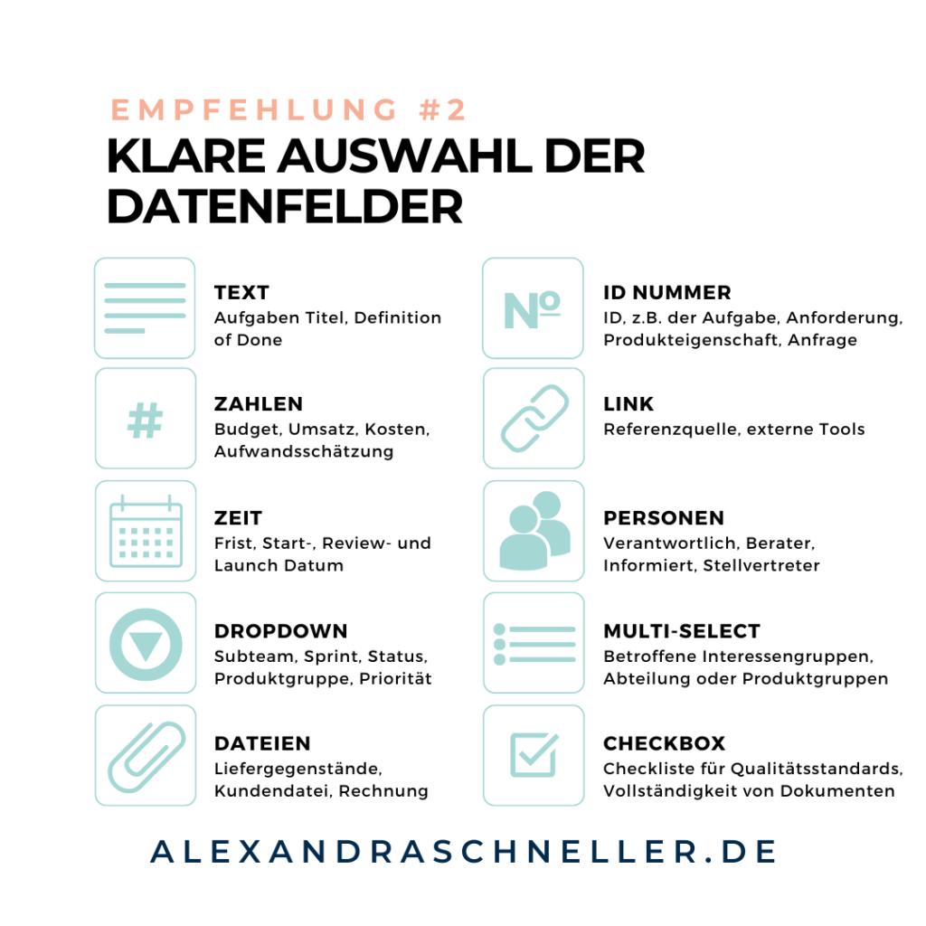 Datenfelder Projekt Management Alexandra Schneller Business Coaching Karriere Coaching Unternehmensberatung