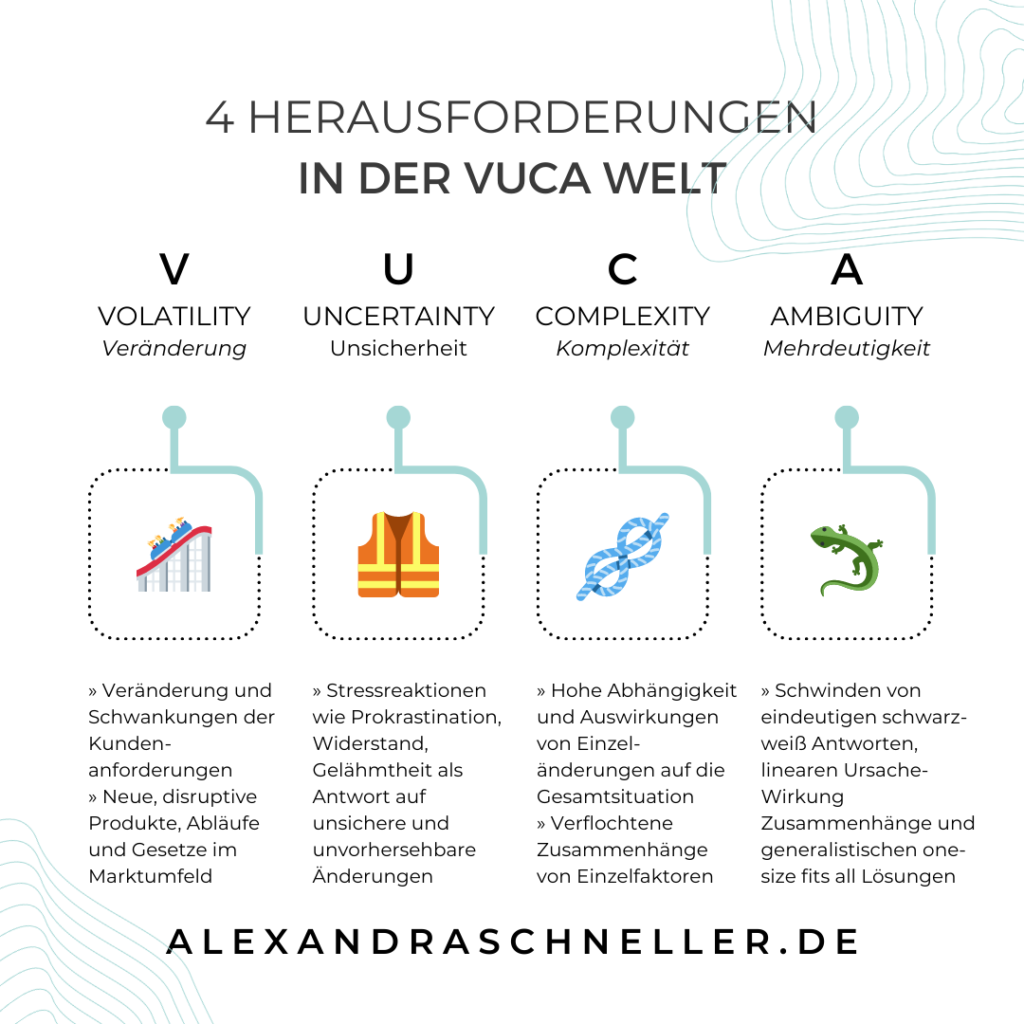 VUCA Welt Projekt Management Alexandra Schneller Business Coaching Karriere Coaching Unternehmensberatung