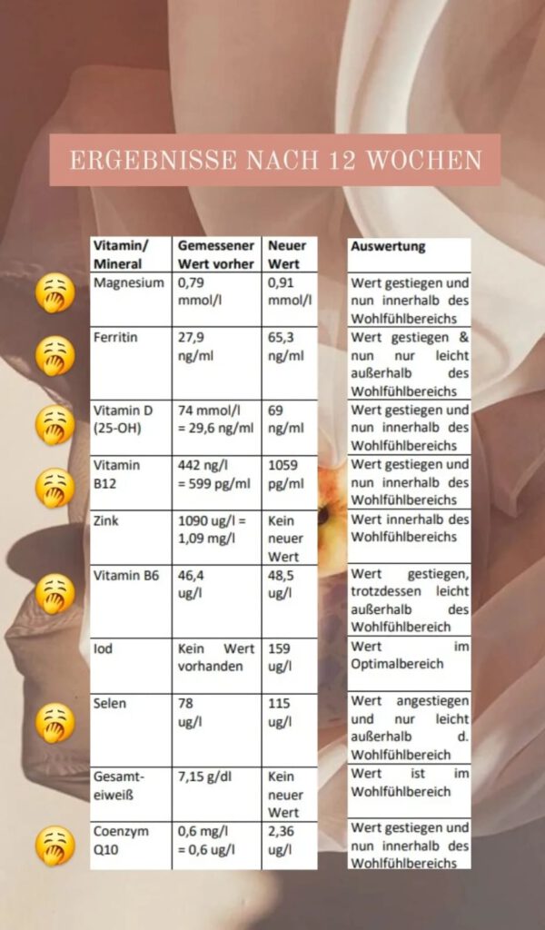 Mikronährstoff und Supplementeplan von Carolin Engelhardt Alexandra Schneller Führungskräfte Coaching