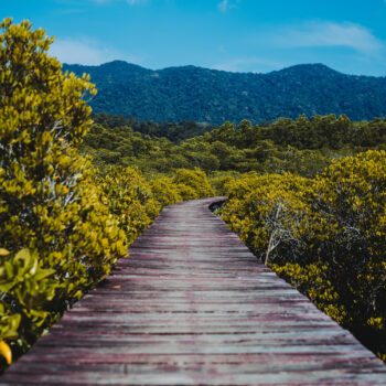 Female Business Retreat mit Alexandra Schneller und Christine Fetzberger